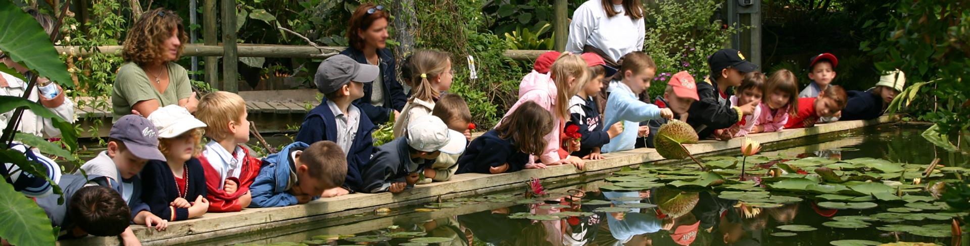 Group of children