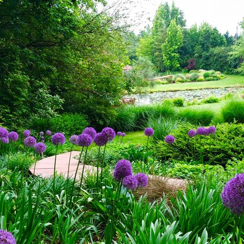 Jardins en terrasse