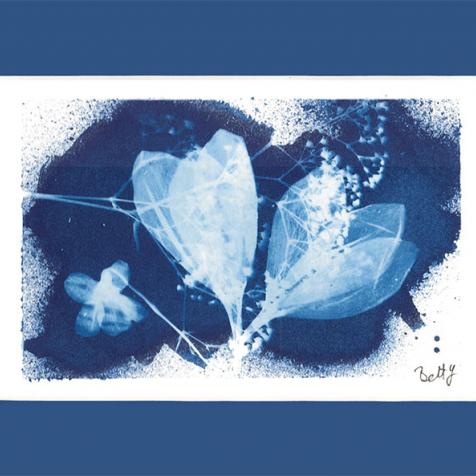 Cyanotype - Crocus & Gypsophile