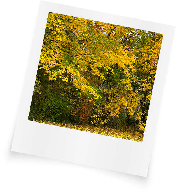 October October