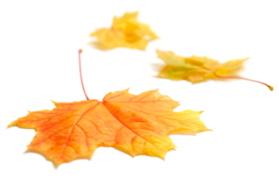 October October