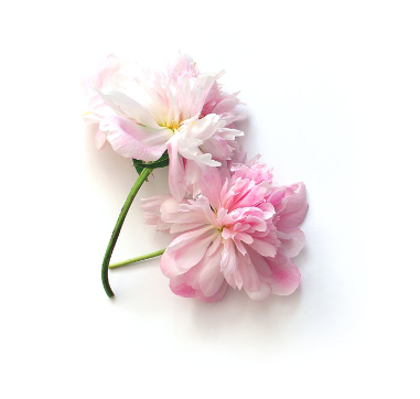April April