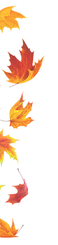 Le jardin en automne