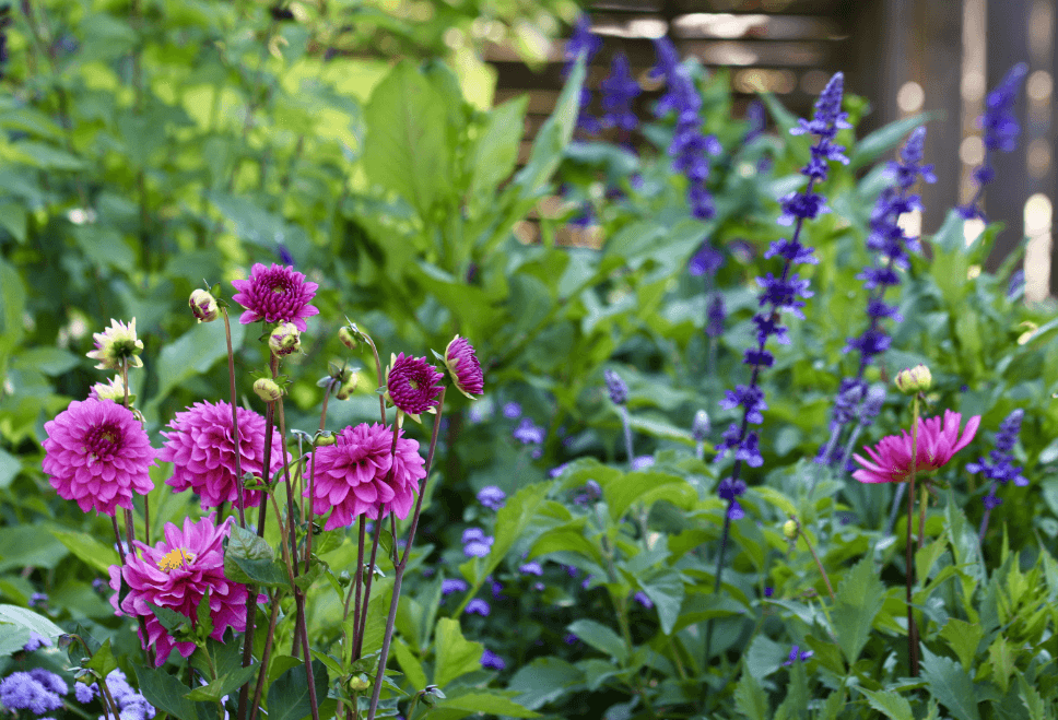 jardinerie jardinerie