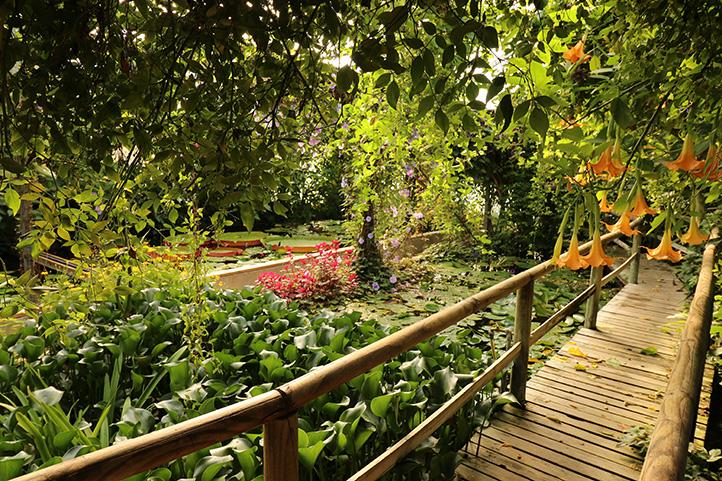 17:00 Visita guiada de los jardines 17:00 Visita guiada de los jardines