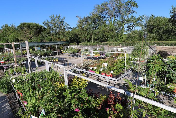 Garden centre and shop Garden centre and shop